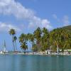 The palms of Marigot Bay, St. Lucia
